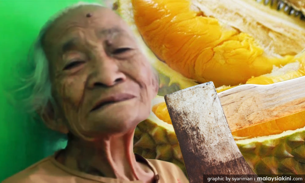 Nenek pikun dijel lebih sebulan kerana tebang pokok durian