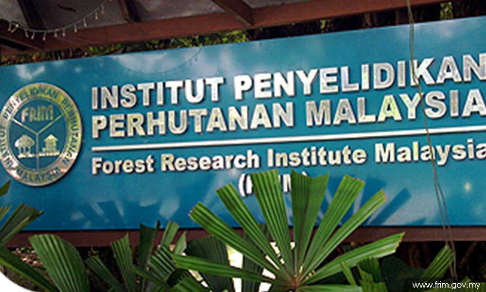 Frim optimis lebarkan kepakaran ke peringkat antarabangsa