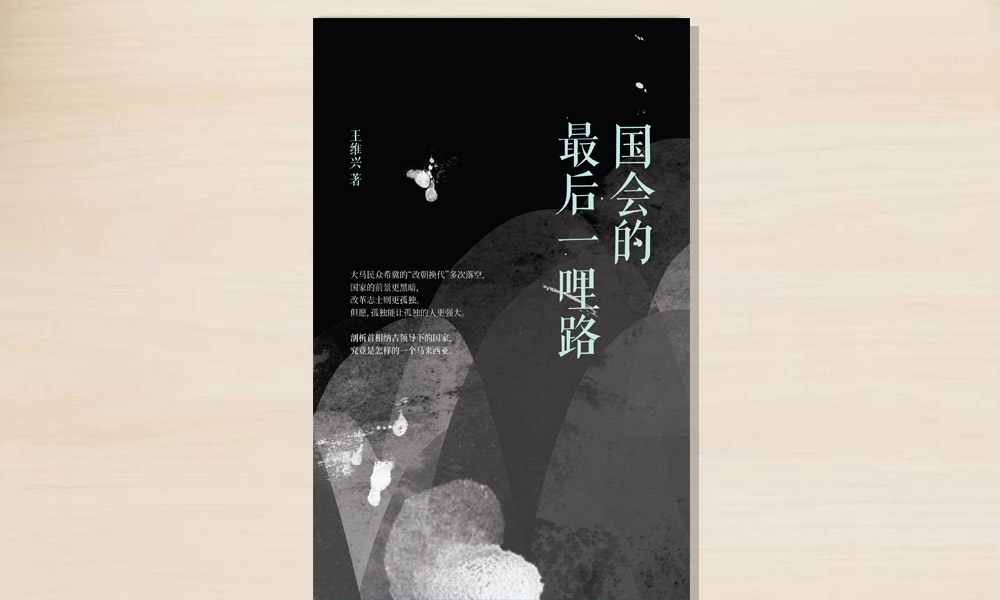 孤独的开荒牛:序《国会的最后一哩路》
