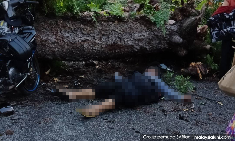 Tubuh unit khas pantau pokok tepi jalan