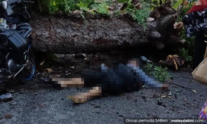 Tubuh unit khas pantau pokok tepi jalan 