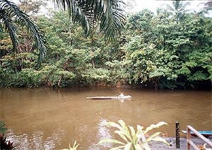 berawan gunung mulu appeal 030508 river