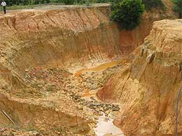 kpg poh chee leng skudai flood land woes 300408 03