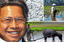 mustapa mohamed agriculture rice padi 030508