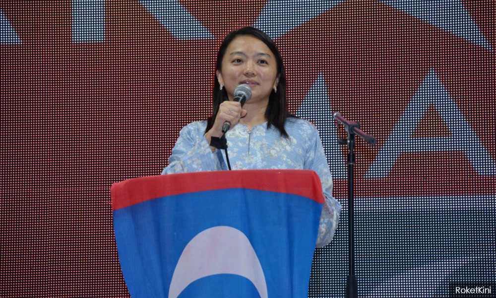Elected politicians must be fluent in English