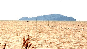 pulau pisang 260508