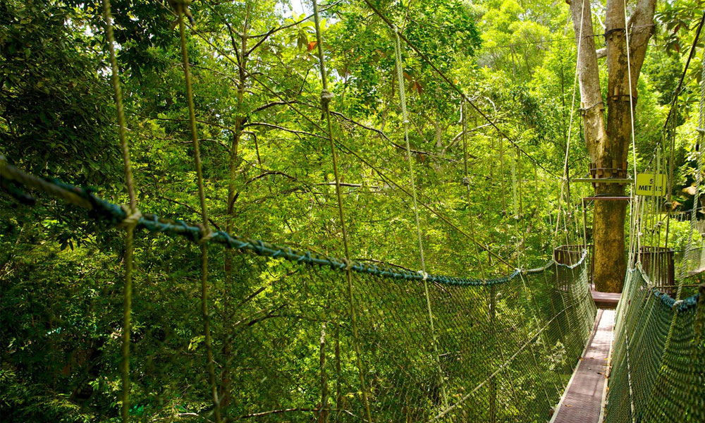 hutan simpan di malaysia