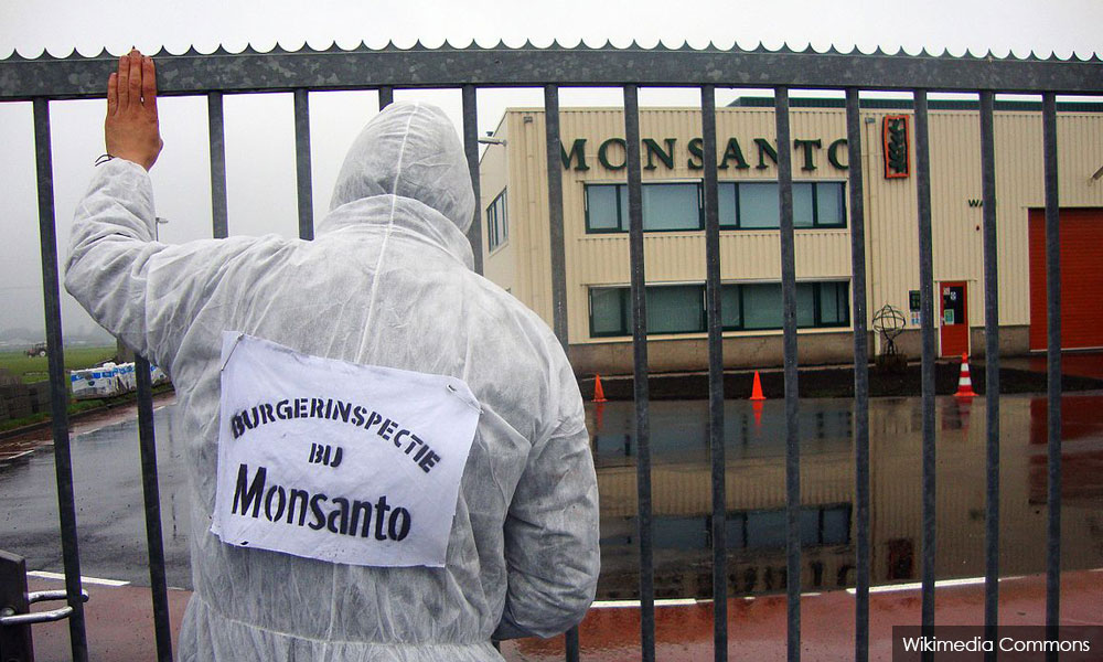 Monsanto to ditch name after Bayer takeover