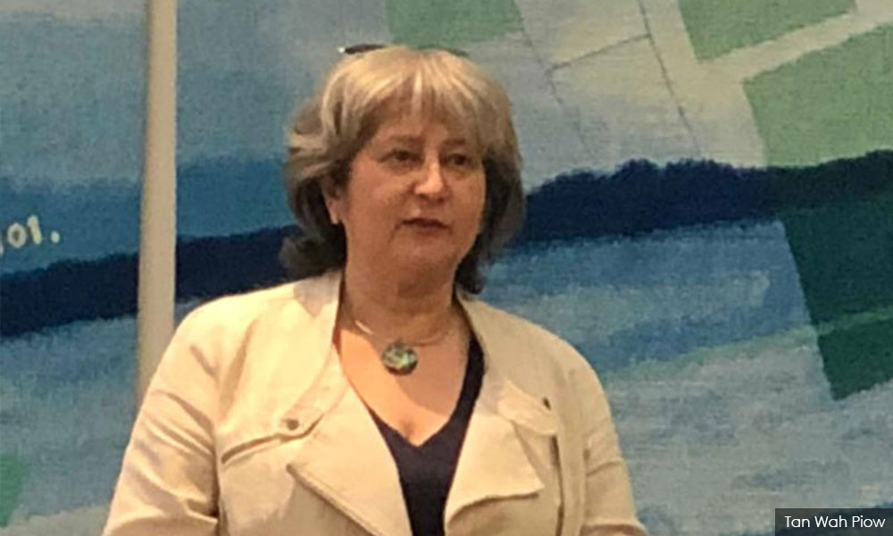 British envoy’s quiet diplomacy helps win the day