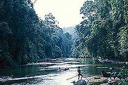 ulu muda kedah 260608