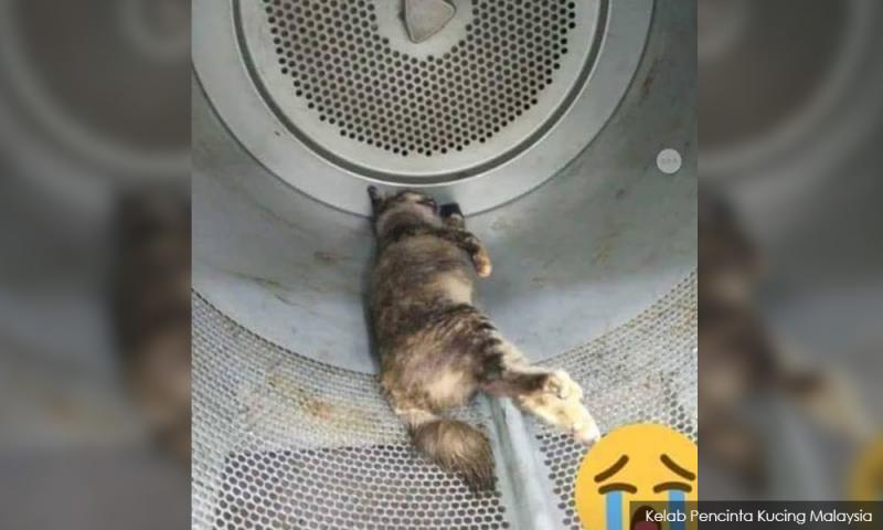 Seorang Perempuan Yang Sedang Hamil.