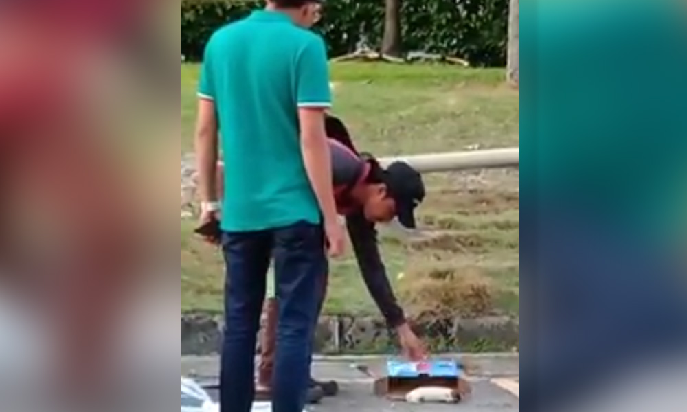 Attempt to help puppy almost goes awry
