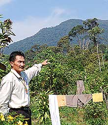 penan forest sarawak 100708 04