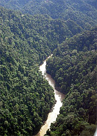 sarawak dam project 050708 tutoh dam