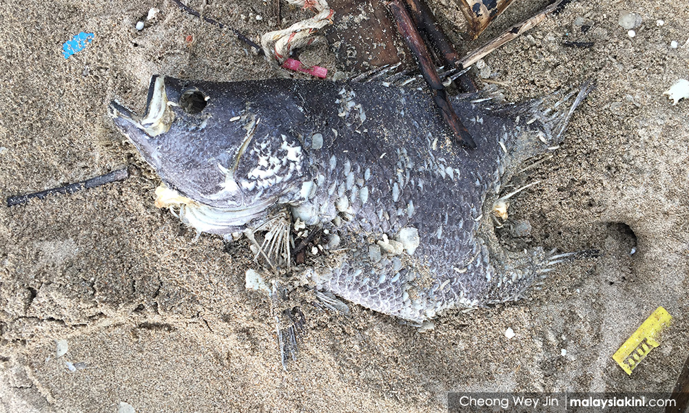 Yeo: Marine debris policy to be established