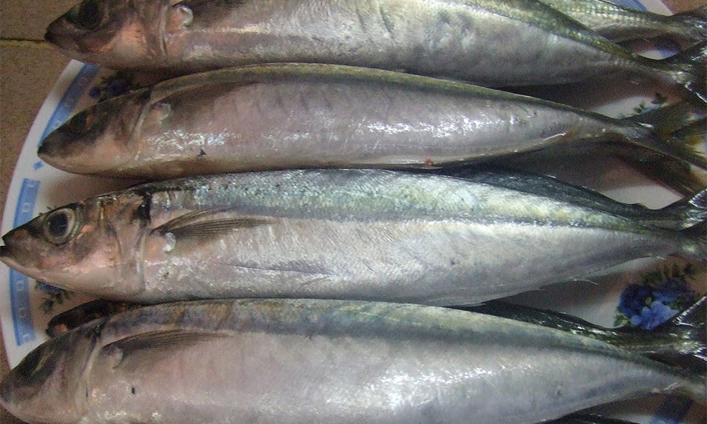 Di T'ganu, suami isteri bercerai kerana ikan selayang