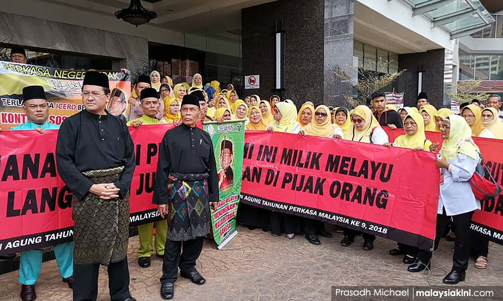 Perkasa anggap menteri India 'terlalu ramai'