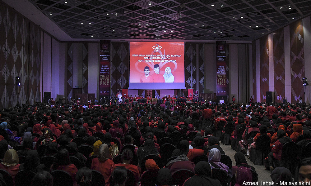 Bersatu to devise new bumi agenda