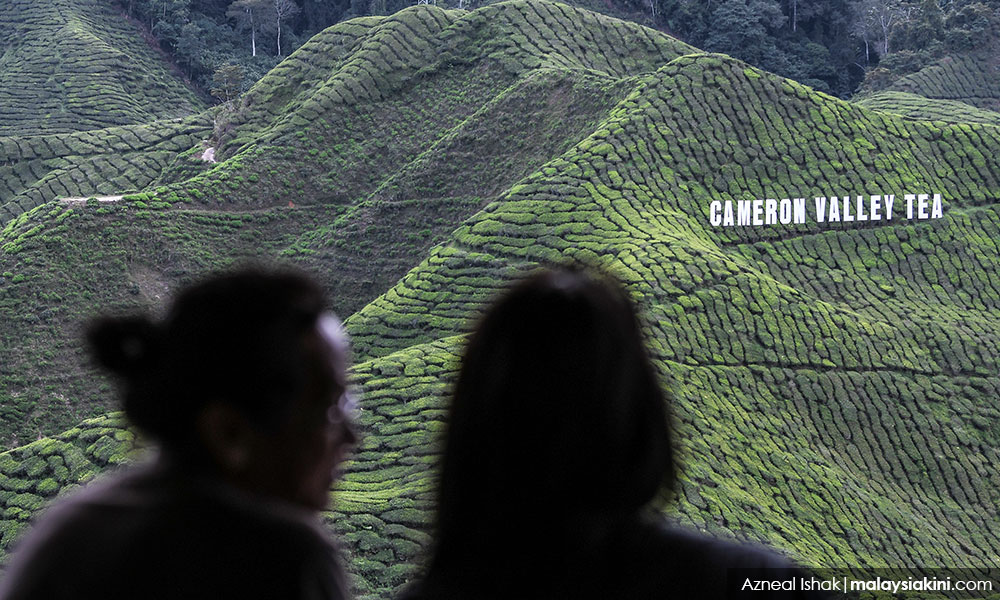 金马仑补选不止3角战?选委会已售9提名表格