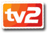 RTM tv 2 logo