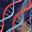 dna structure
