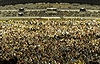anti isa sept 16 gathering kelana jaya stadium 160908