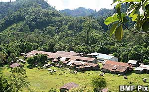penan baram women sexual abuse by loggers 220908 01