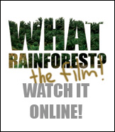 what rainforest 071009 promo poster