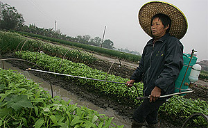 chinese china farmer farming 061008 01