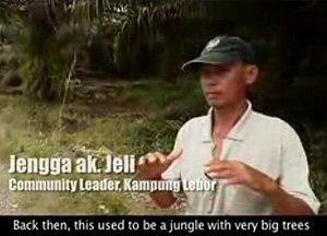 what rainforest movie 071008 02