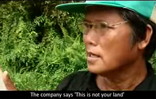 what rainforest movie 071008 01