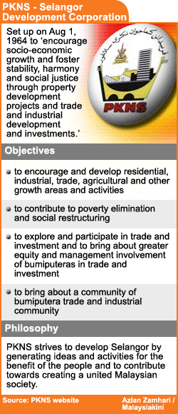 pkns selangor development corporation data 281008