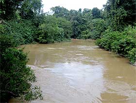 terengganu logging catchment area wildlife threat 121108 01