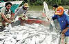 nelayan fishermen