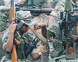 tamil tigers 021208 03