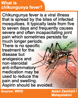 chikungya fever info 191208