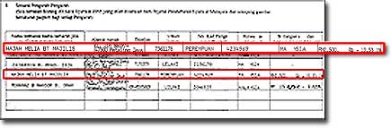 pempena tourism board melia controversy 130109 02