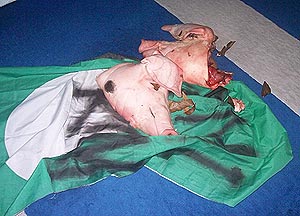 pig head carcass in universiti malaya um mosque surau 160109 03