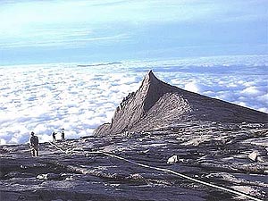 mount kinabalu sabah 030209 04