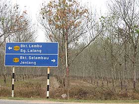 bukit selambau 120209 estate