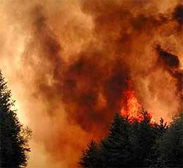 australia forest fire 110209 01