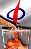 vote for dap