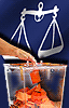 vote for barisan nasional