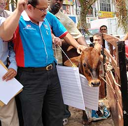 pkr youth shah alam anti macc cow protest 250209 03