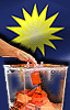 vote for mca