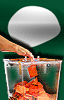 vote for pas