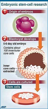 obama lift ban on stem cell research 100309 05