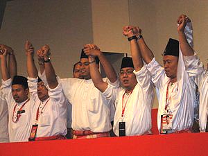 khairy jamaluddin umno youth chief victory 250309 03