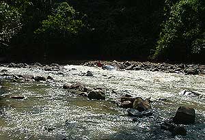 apik penan love of learning story 210409 04