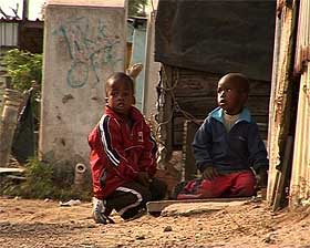 south africa election anc jacob zuma sweep polls 220409 03